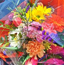 Blooming Garden Florist in Kentville, opening hours
