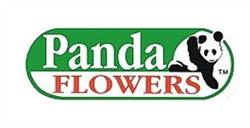 Panda Flowers in Lethbridge, opening hours