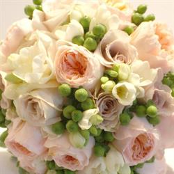 Fran Sackler Floral Designs in Richmond Hill, opening hours