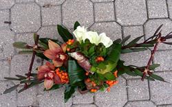 Signature Floral Gallery in Winnipeg, opening hours