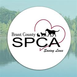 Ontario SPCA Brant County Branch Ltd, Brantford, ON opening hours