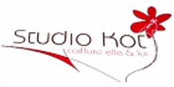 Studio Kot, Saint-Constant, QC opening hours