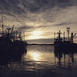 Port Edward Harbour Authority, opening hours