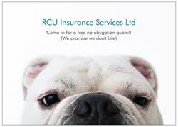RCU Insurance Services Ltd in Revelstoke, opening hours