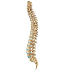 Chiropractic Health, Kirkland Lake, ON opening hours
