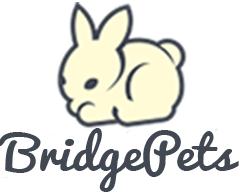 Wm Pet Services & Boutique, Markham, ON opening hours