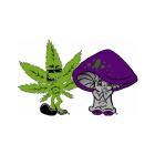 Bongs & Such Ltd in Calgary, AB (Montgomery) - Opening Hours