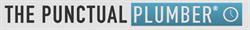 The Punctual Plumber, Calgary, AB opening hours
