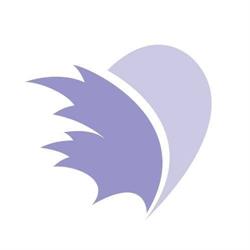 Pulmonary Hypertension Assn Of Canada in Vancouver, BC (Downtown) - Opening Hours