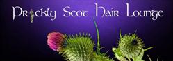 Prickly Scot Hair Lounge in Vancouver, BC (Mount Pleasant) - Opening Hours
