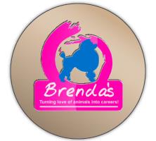 Brenda's Academy of Professional Dog Grooming, Moncton, NB opening hours