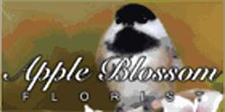 Apple Blossom Florist, Fredericton, NB opening hours