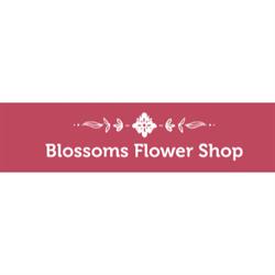 Blossom's Flower Shop, Brighton, ON opening hours