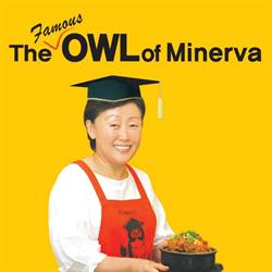 Owl Of Minerva in North York, ON (Willowdale) - Opening Hours