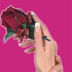 Modern Style Nails & Spa in Calgary, AB (Crescent Heights) - Opening Hours