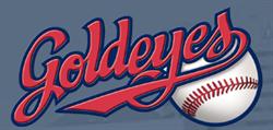 Winnipeg Goldeyes, opening hours