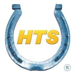 Horseshoe Tax Services & Bookkeeping Services, Brantford, ON opening hours