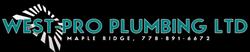 West Pro Plumbing Ltd, Maple Ridge, BC opening hours