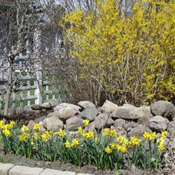 Russell Manor Bed & Breakfast, Morrisburg, ON opening hours