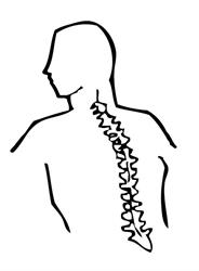 Renew Physiotherapy, Gander, NL opening hours