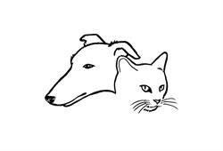 Goldenvale Veterinary Hospital & Kennels, East Gwillimbury, ON opening hours