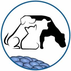 Kirkton Veterinary Clinic, opening hours
