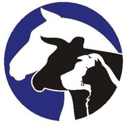 Wheat City Veterinary Clinic, Brandon, MB opening hours