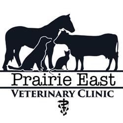 Prairie East Veterinary Clinic, Langenburg, SK opening hours