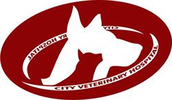 City Veterinary Hospital, Medicine Hat, AB opening hours