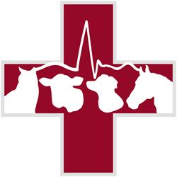 Owl Creek Veterinary Hospital, Pemberton, BC opening hours