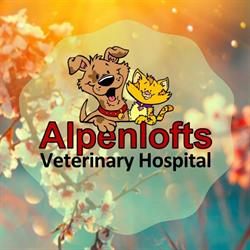 Alpenlofts Veterinary Hospital, Squamish, BC opening hours