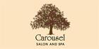 Carousel Salon & Spa, Elmira, ON opening hours