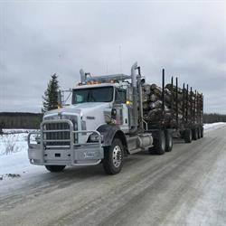 L N R Perreault Inc Transport Forestier, La Sarre, QC opening hours
