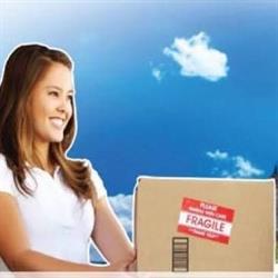 Viti Freight Systems, Surrey, BC opening hours