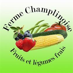 Ferme Champlinoise Inc, Champlain, QC opening hours