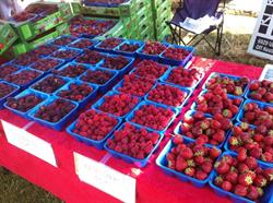 Gobind Farms, Saanichton, BC opening hours