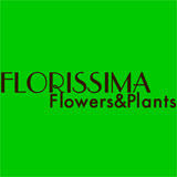 Florissima Flowers & Plants, Yorkton, SK opening hours
