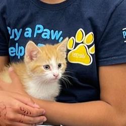 Pet Valu, Milton, ON opening hours