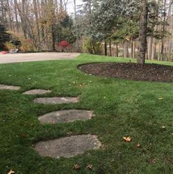 Golden Leaf Landscaping & Property Mtce, Holland Landing, ON opening hours