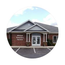 Mitchell Veterinary Services, opening hours