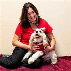 Lake Country Animal Hospital, Severn, ON opening hours