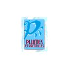 Artisanat Autochtone Plumes et Pacotilles, Wolinak, QC opening hours