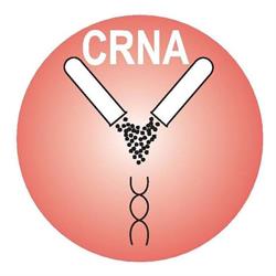 Canada RNA Biochemical Inc, Richmond, BC opening hours