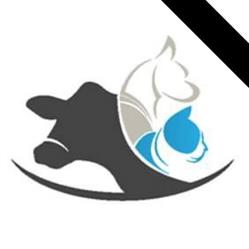 Clinique Veterinaire St-Marc, Saint-Marc-des-Carrières, QC opening hours