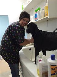 Fern's Dog Grooming, Beaumont, AB opening hours