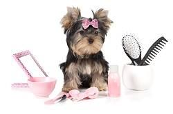 Duncan K-9 Grooming, opening hours
