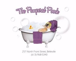 Pampered Pooch, Belleville, ON opening hours