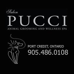 Salon Pucci Animal Grooming and Wellness SPA in Mississauga, ON (Port Credit) - Opening Hours
