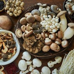 Avina Fresh Mushrooms Inc, Abbotsford, BC opening hours