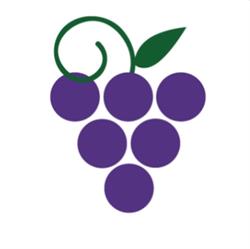 Grape Expectations Wine Making, Windsor, ON opening hours